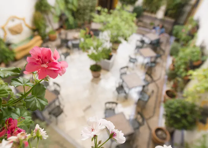 Hotel Eurostars Maimonides Córdoba