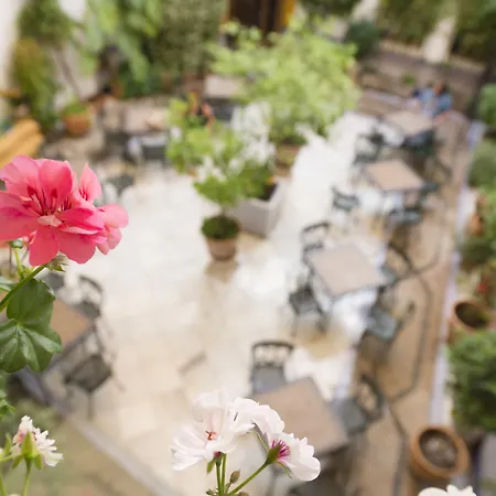 Hotel Eurostars Maimonides Cordoba